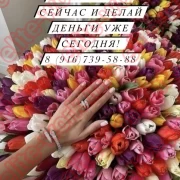 ПИШИ ПРЯМО СЕЙЧАС И ДЕЛАЙ ДЕНЬГИ УЖЕ СЕГОДНЯ!!!
