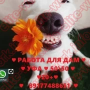 РАБОТА В УФЕ ХОРОШИЕ УСЛОВИЯ