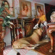 Шикарные условия труда