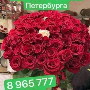 Заказы + + + НЕ поток