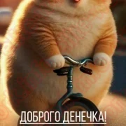 ВИП для элитных девушек!