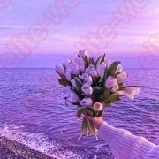 Работа с лучшими условиями!