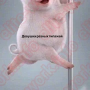 Все девушки без исключения! Любой типаж! На вкус и цвет! Найдем работу каждой !