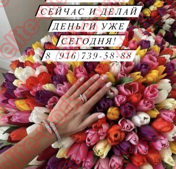 ПИШИ ПРЯМО СЕЙЧАС И ДЕЛАЙ ДЕНЬГИ УЖЕ СЕГОДНЯ!!! - работа для девушек в Москве EliteWork