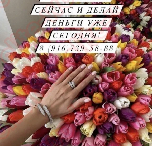 РАБОТА ДЛЯ ПРИНЦЕСС. Лучшие условия - вакансия id7072 на EliteWork