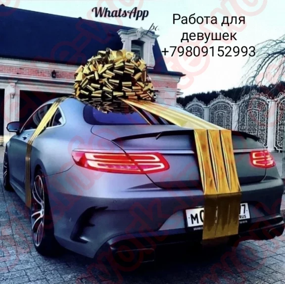 Изображение №3