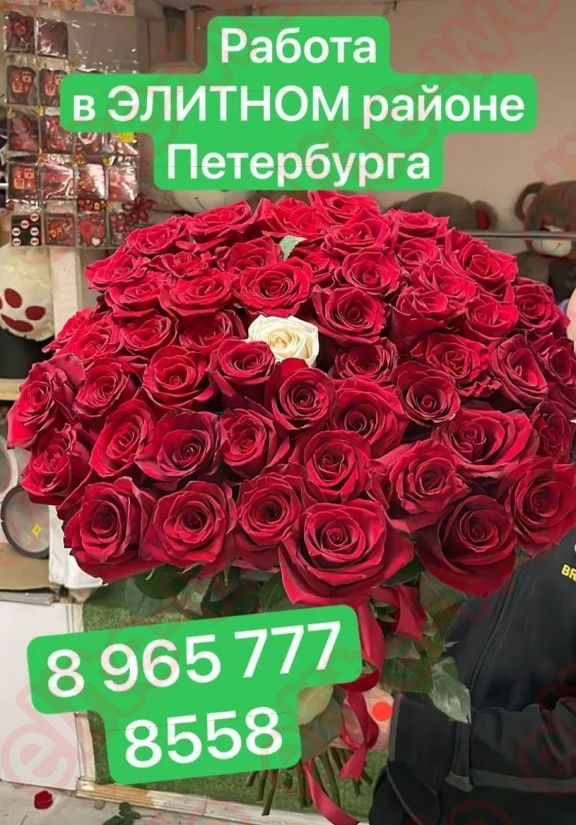 Заказы + + + НЕ поток