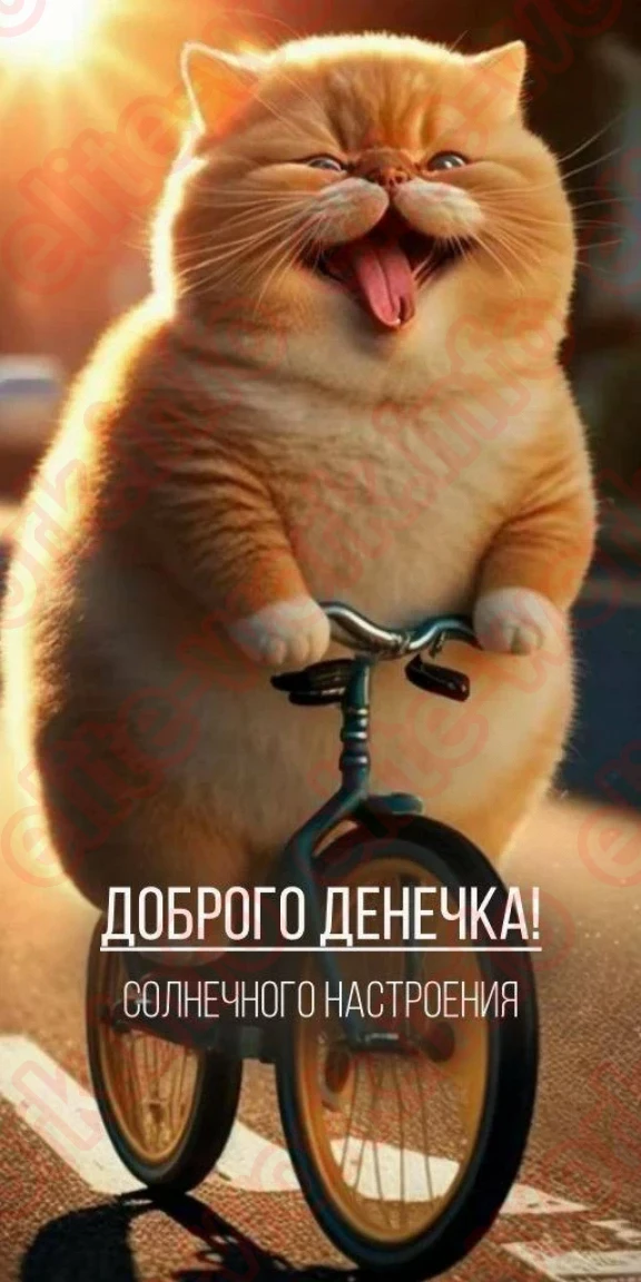 ВИП для элитных девушек!