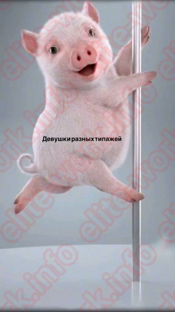 Все девушки без исключения! Любой типаж! На вкус и цвет! Найдем работу каждой !