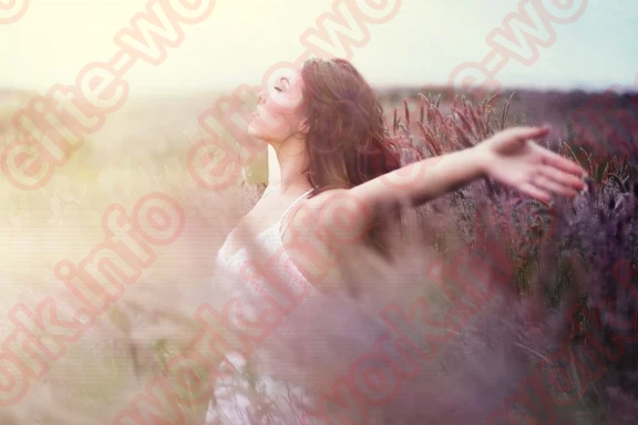 Как стать indi? Обучение