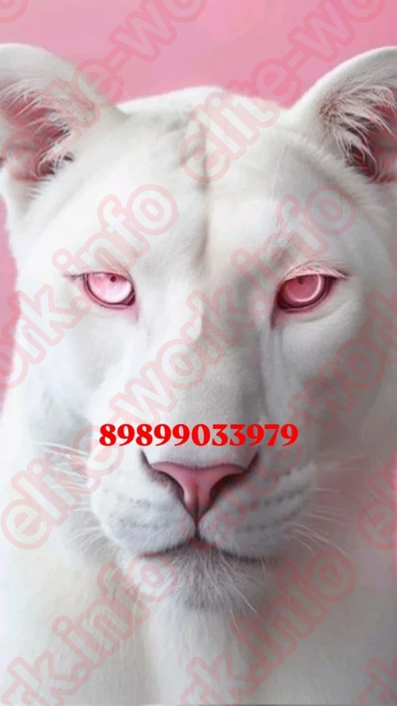 РАБОТА ДЛЯ ДАМ УФА